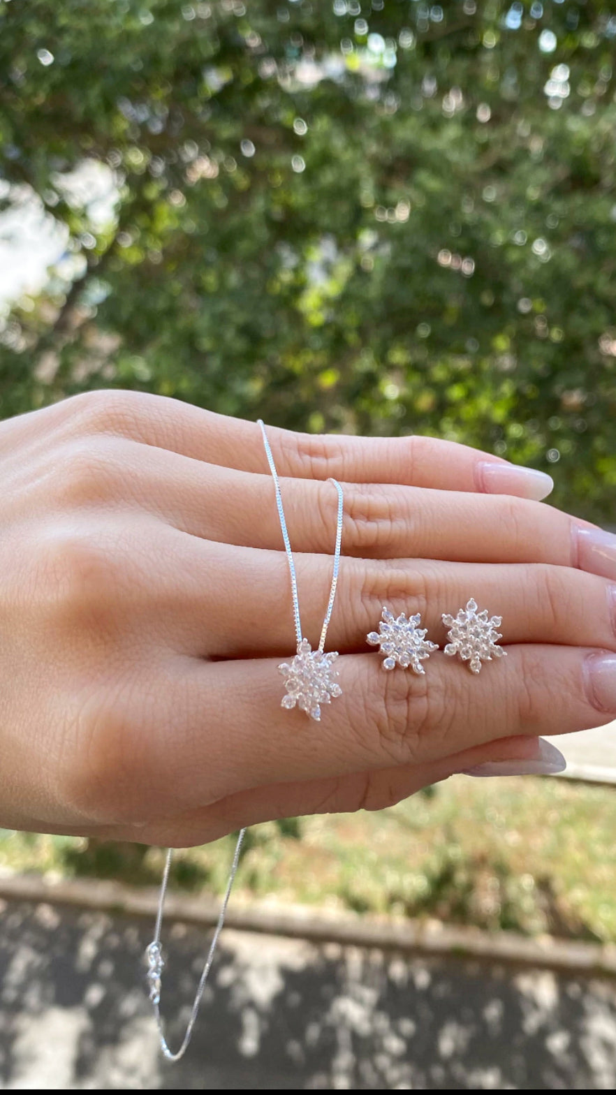 Conjunto flocos de neve